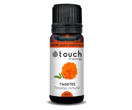 Tagetes.11ml-600x500.png